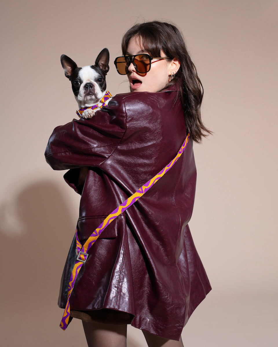 Person wearing a burgundy leather coat with a dog on a beige background.