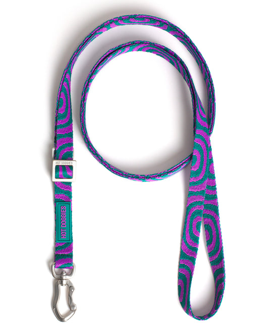 Zigzag patterned dog leash on a white background.