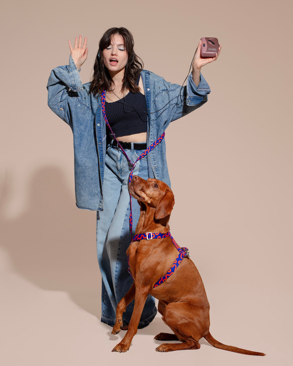 Woman in a denim outfit with a dog with HANDS-FREE LEASH ROCKY ELECTRIC on a beige background.
