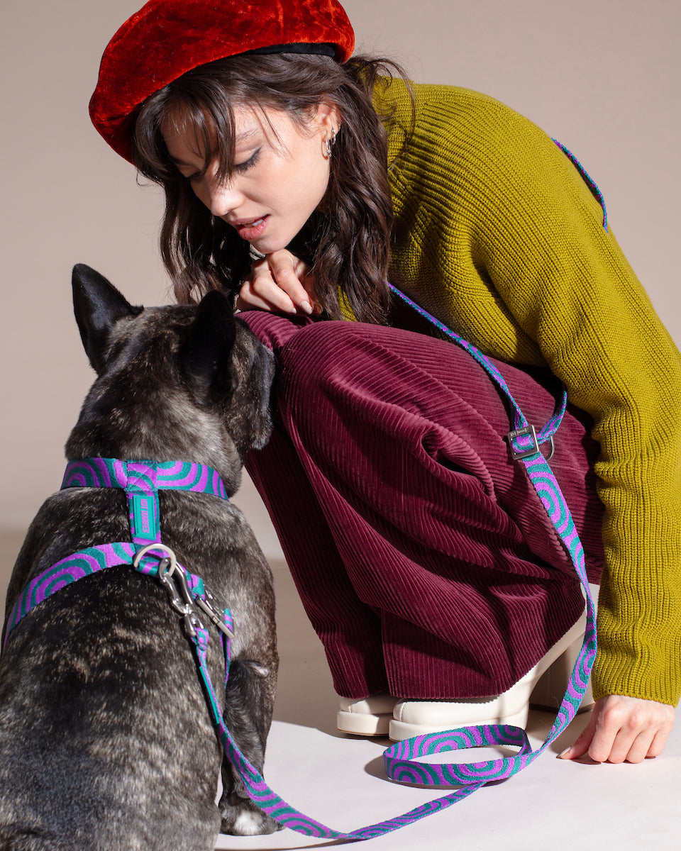 Woman in a red beret and green sweater interacting with a dog on a beige background.