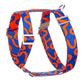 Dog collar with blue and orange pattern on a white background