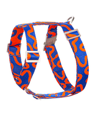 Dog collar with blue and orange pattern on a white background