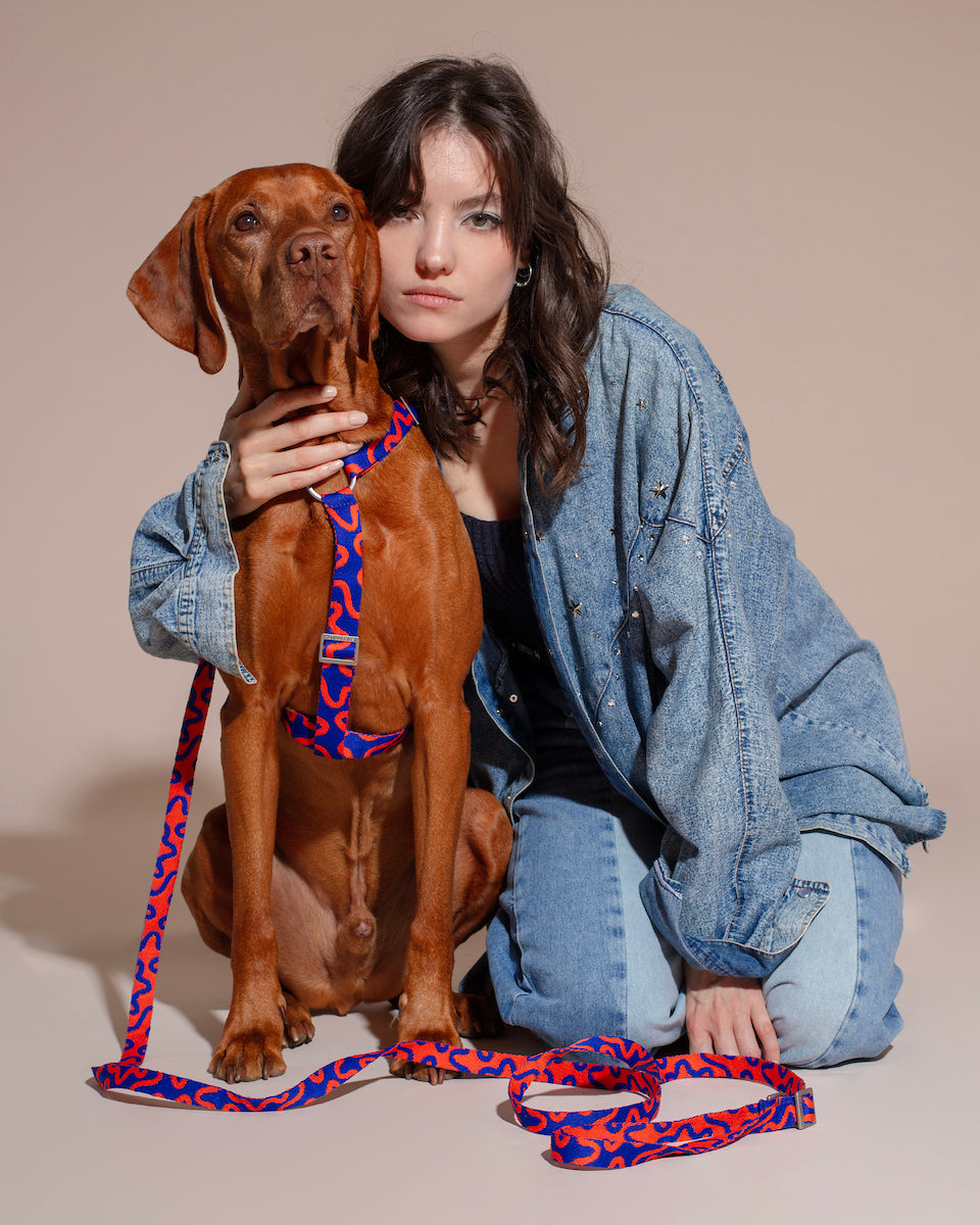 Woman with a dog wearing a colorful HARNESS ROCKY ELECTRIC on a beige background.
