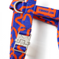 Blue and orange patterned dog collar with a silver buckle on a white background