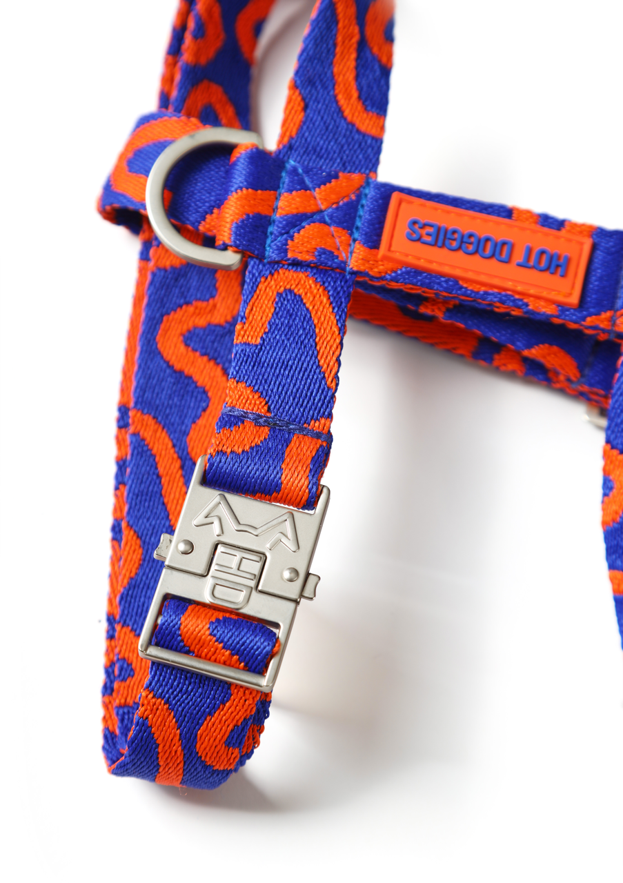 Blue and orange patterned dog collar with a silver buckle on a white background