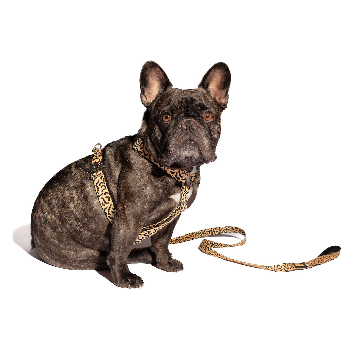 Hot Doggies Classic Leash in Beige/Black, featuring a sophisticated abstract pattern with sleek zinc alloy hardware and a cushioned handle for comfort.