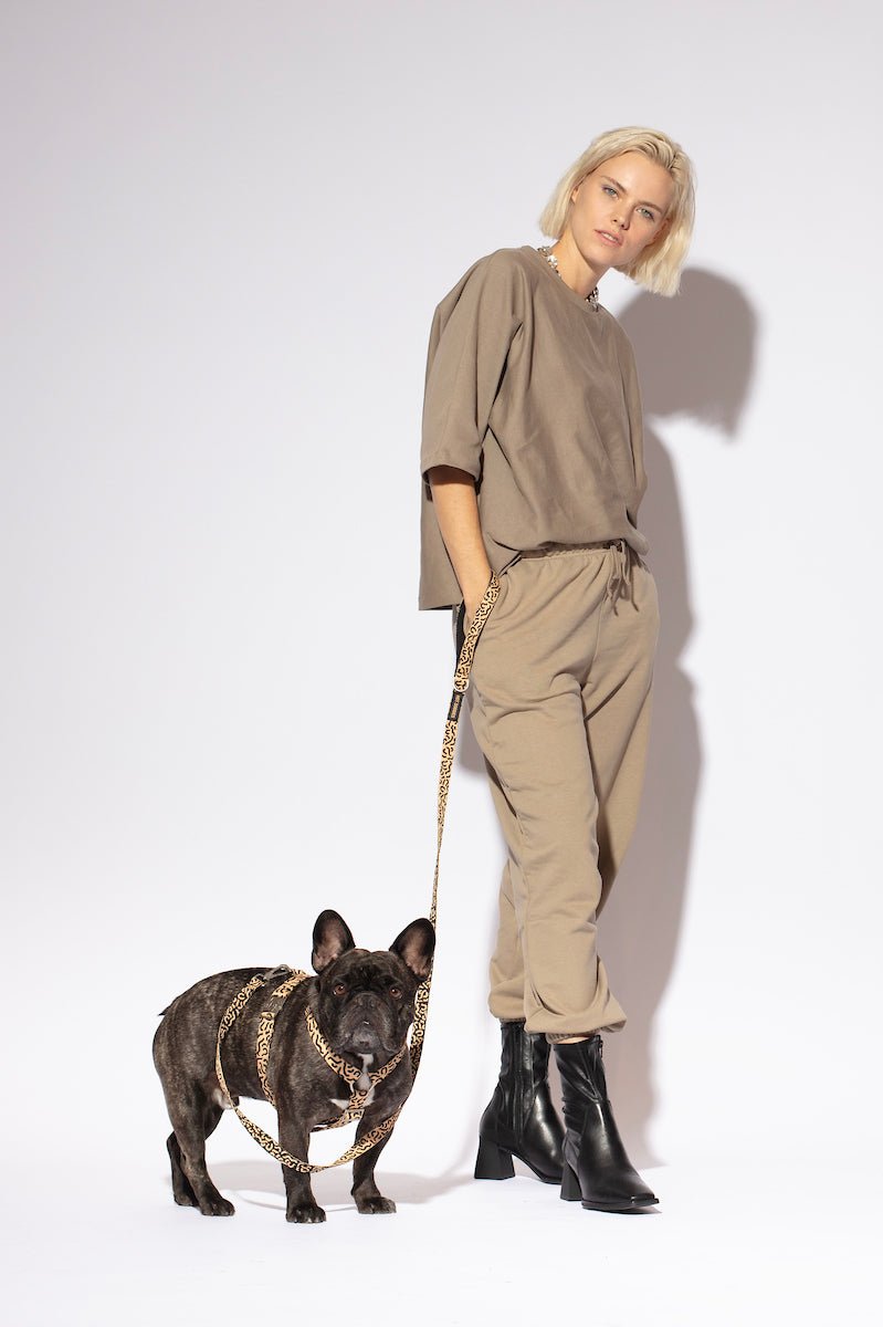 Hot Doggies Classic Leash in Beige/Black in use during a stylish dog walk, highlighting its chic design and ergonomic handle.