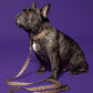 Hot Doggies Classic Leash - Beige/Black, Abstract Pattern, Zinc Alloy Hardware, Cushioned Handle for Comfort