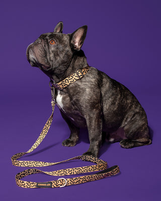 Hot Doggies Classic Leash - Beige/Black, Abstract Pattern, Zinc Alloy Hardware, Cushioned Handle for Comfort