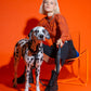 hot-doggies-classic-leash-blak-logo-woven-recycled-with-model-and-dog