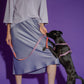 Close-up of the Hot Doggies Classic Leash Lily Coral on a dog, highlighting the soft, eco-friendly material and stylish coral and lilac fine-line pattern. Durable and comfortable leash for daily walks.