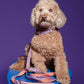 Hot Doggies Classic Leash Lily Coral on a dog, highlighting the soft, eco-friendly material and stylish coral and lilac fine-line pattern. Durable and comfortable leash for daily walks.- on -dog-model.