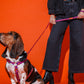Hot Doggies Classic leash in purple and orange, eco-friendly soft woven polyester, 150cm with padded handle, designed for style and durability, made in the EU.