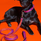 Hot Doggies Classic leash in purple and orange, eco-friendly soft woven polyester, 150cm with padded handle, designed for style and durability, made in the EU.