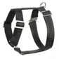 Black dog harness with metal buckles on a white background.