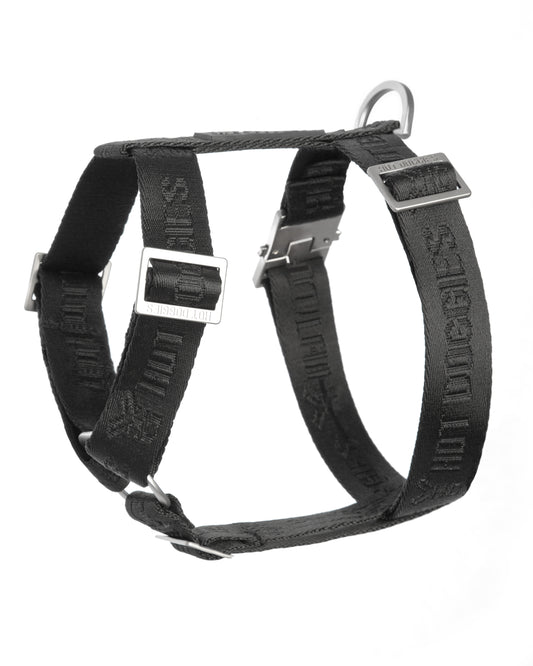 Black dog harness with metal buckles on a white background.