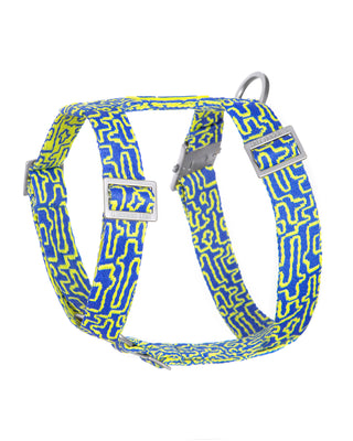 Bobby Blue 3D dog harness – cool blue harness by Hot Doggies offering comfort, durability, and modern design.