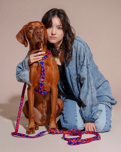 Person with dog