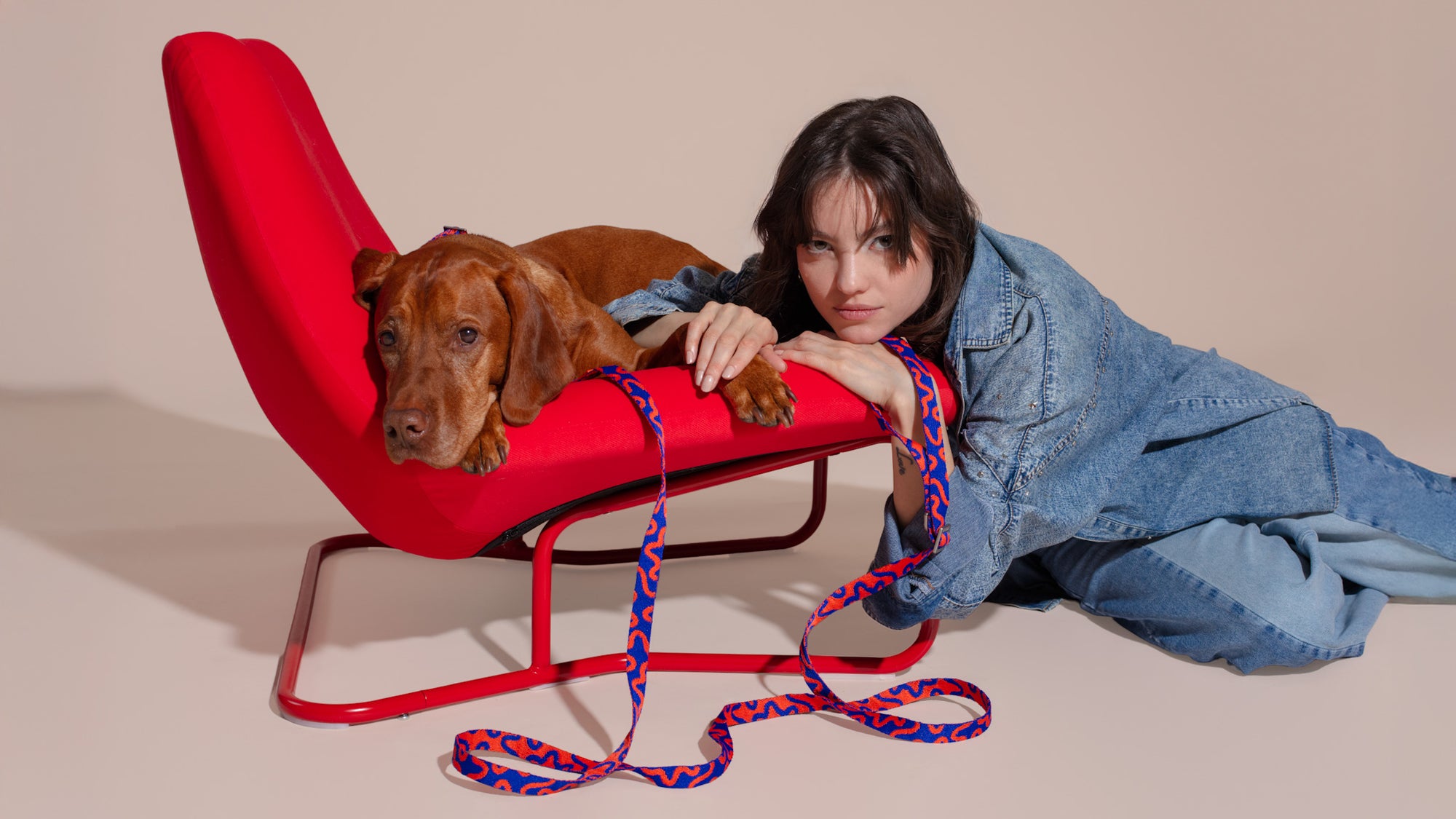 Hero background featuring Hot Doggies brand