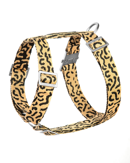 HARNESS COCO NOIR