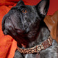 Coco Noir Dog Collar featuring a sleek black and beige design with elegant detailing, durable buckle, and personalized dog tag for added safety.
