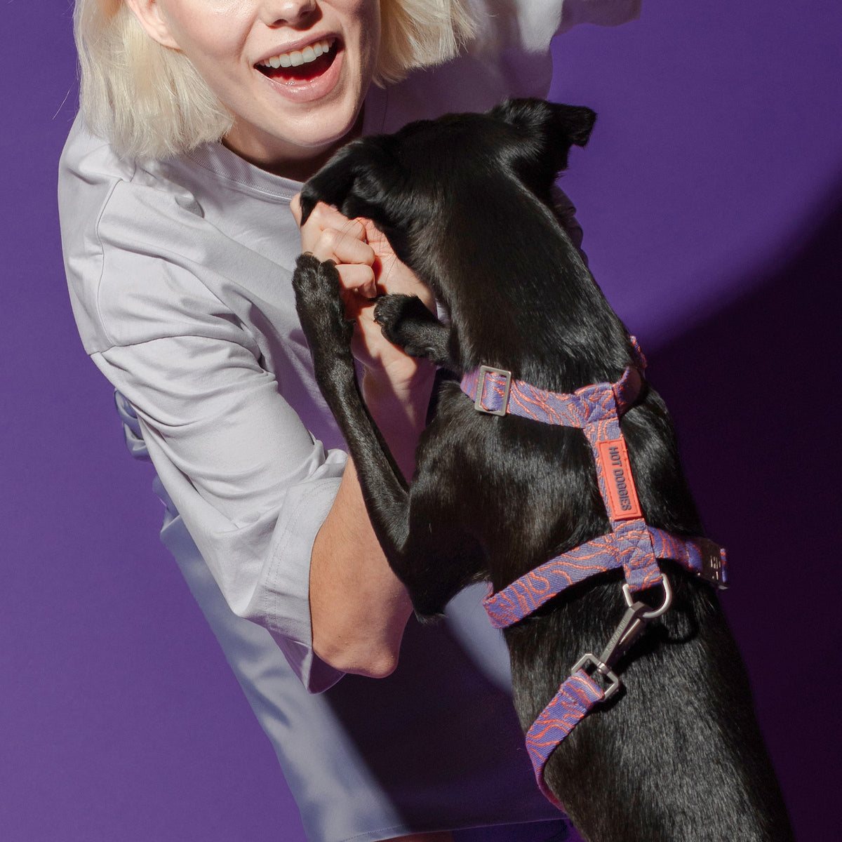 Dog wearing the Lily Coral Doodle Pattern Harness, demonstrating the soft material and secure fit in a fun coral design