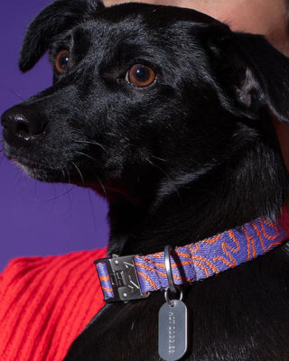 Dog wearing the Hot Doggies Collar Lily Coral with a coral and lilac fine-line pattern, featuring a durable zinc alloy buckle and personalized dog tag for safety. Comfortable and stylish for everyday wear.
