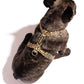 Dog wearing the Hot Doggies Coco Noir Harness, highlighting the perfect fit and elegant design.