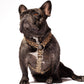 Side view of the Hot Doggies Coco Noir Harness in beige and black, showing the adjustable fit and secure zinc alloy hardware.