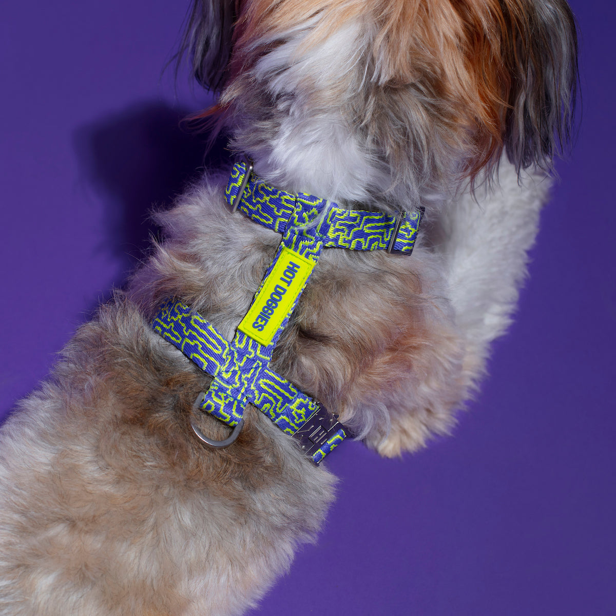 Close-up of the blue and lime geometric pattern on the Hot Doggies bobby blue Harness, highlighting the vibrant design and premium material.